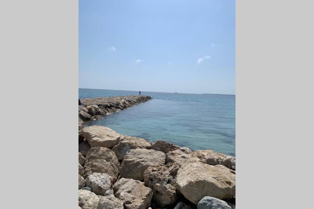 Appartamento Juan Les Pins Joli T2 Parking Inclus! Antibes Esterno foto