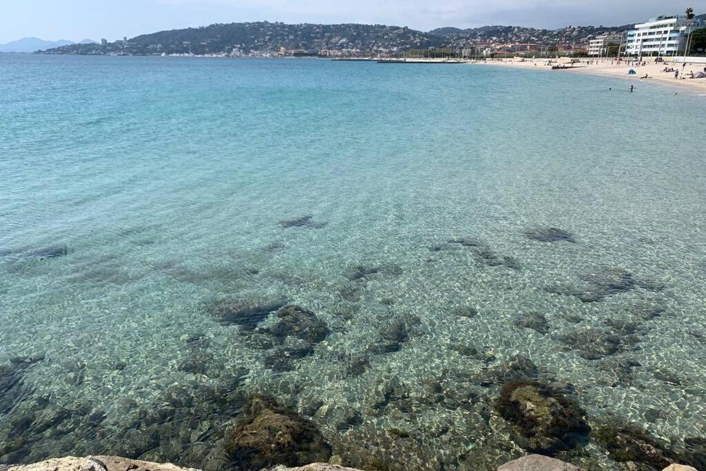Appartamento Juan Les Pins Joli T2 Parking Inclus! Antibes Esterno foto